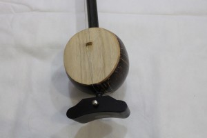 Zhongyin Banhu-3